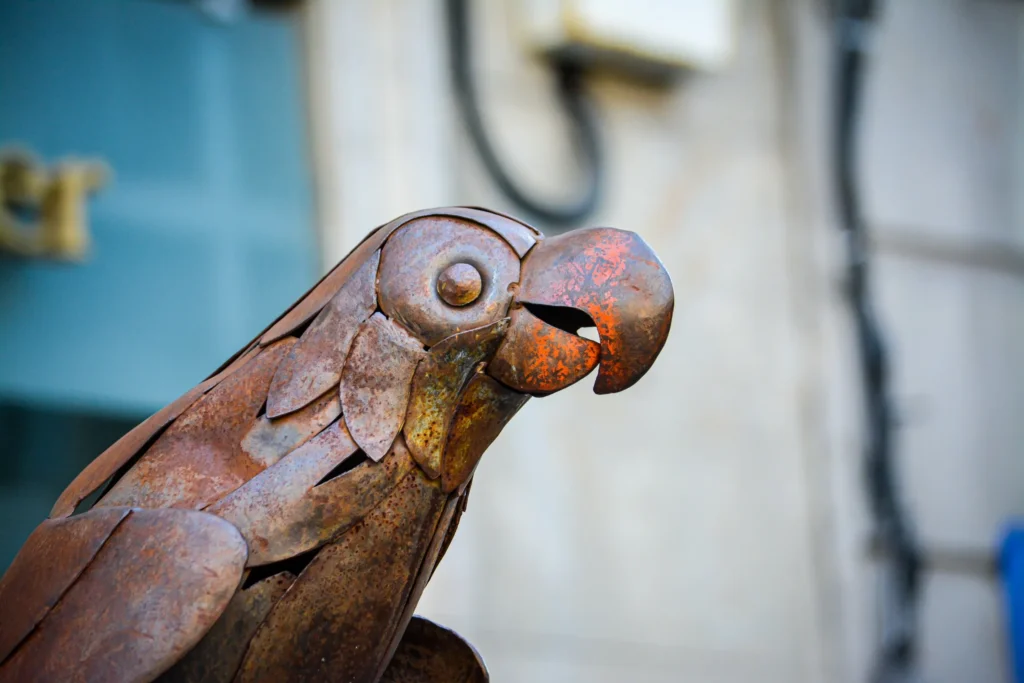 Loro Ravachol en Plaza de la Peregrina en Free Tour Pontevedra
